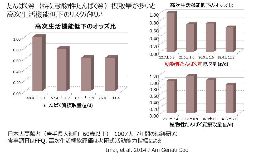 たんぱく質摂取と生活機能低下リスク（日本人データ）