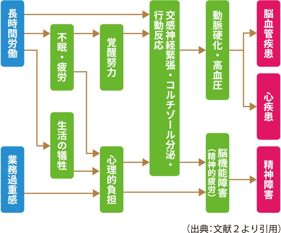 安全衛生と循環器疾患:過重労働を原因ととらえた場合の循環器疾患や精神障害の発症