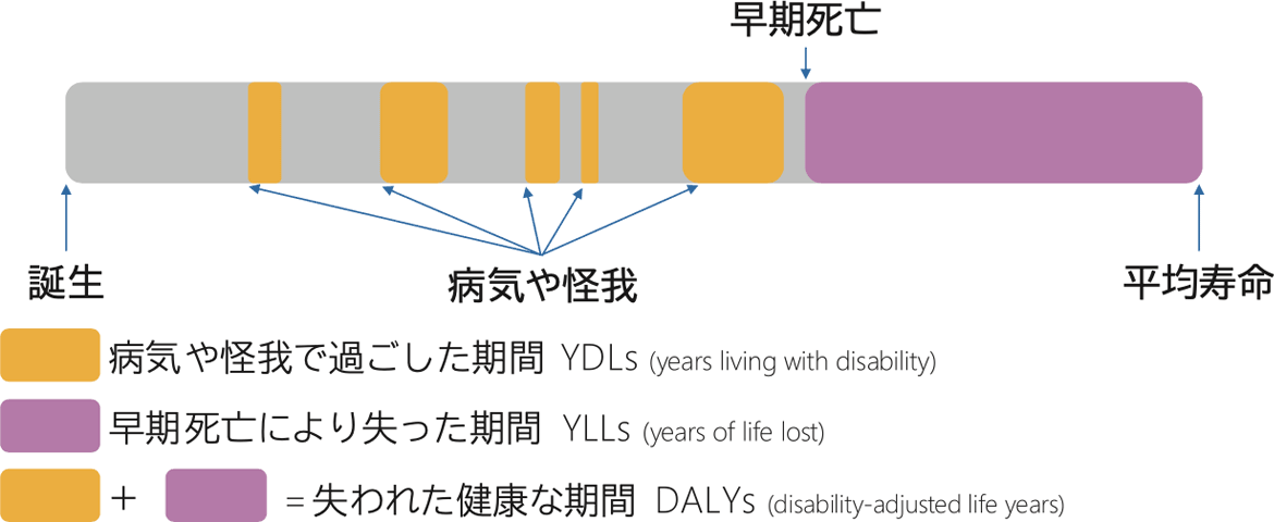 DALYs = 死亡・障害による健康損失を時間に換算