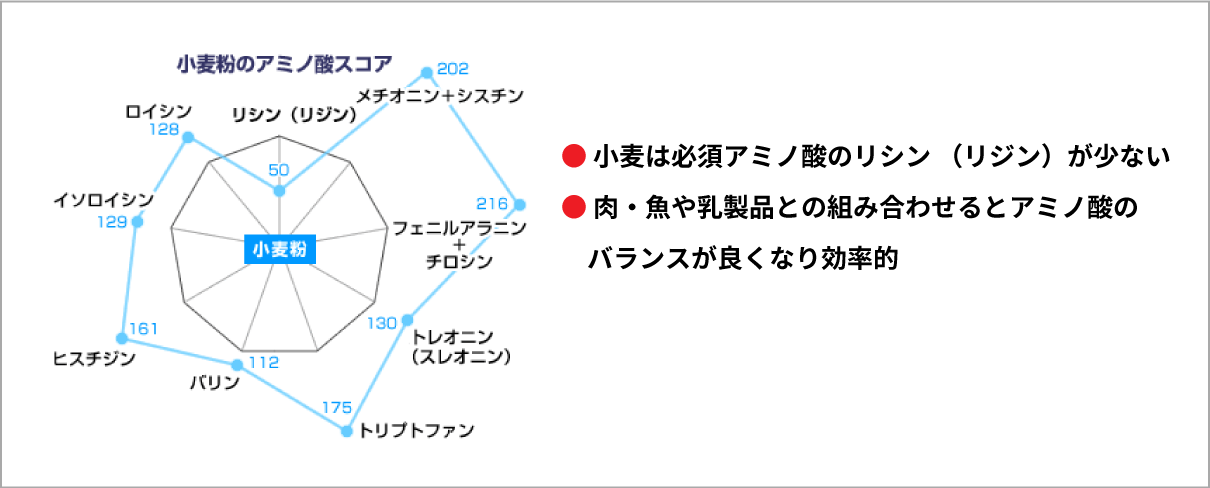 小麦粉のアミノ酸の栄養価を高めるにはリジンの摂取が必要