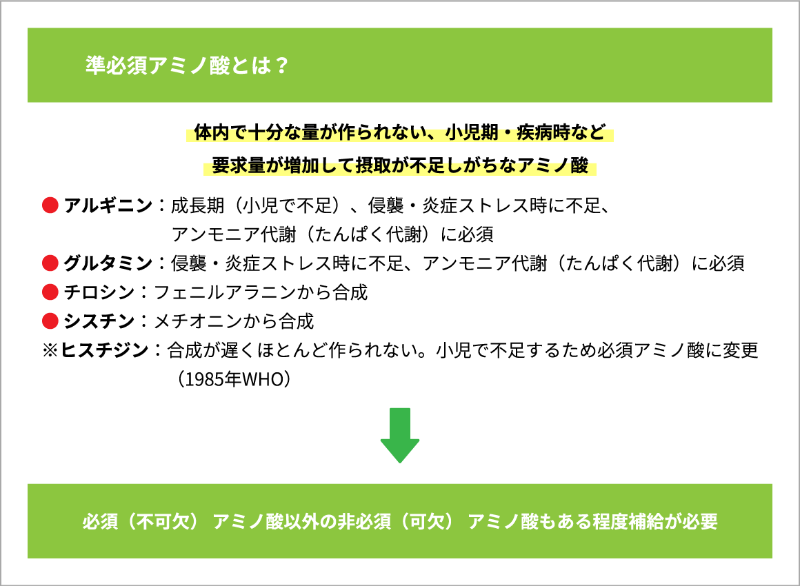 準必須アミノ酸とは？