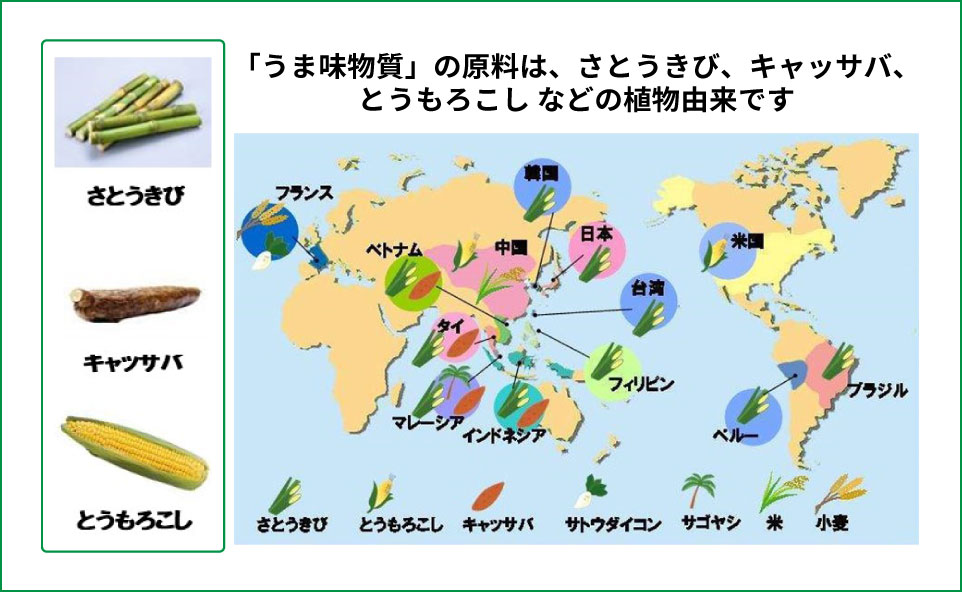 グルタミン酸の原料