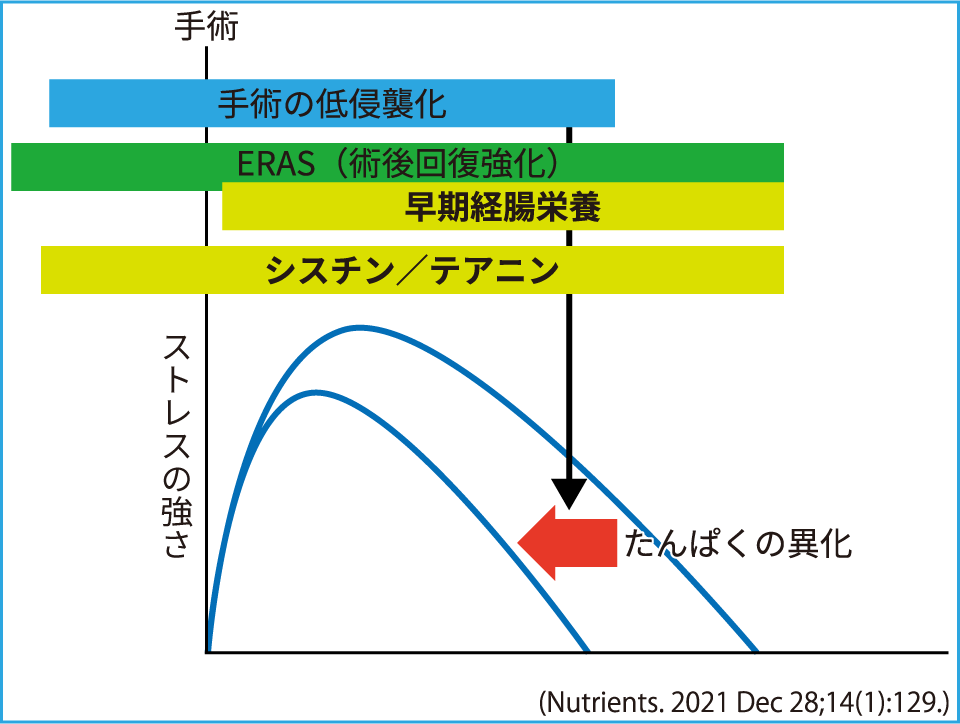 栄養療法による手術侵襲軽減効果