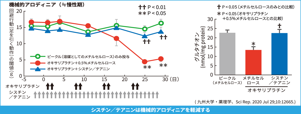 オキサリプラチンの末梢神経障害