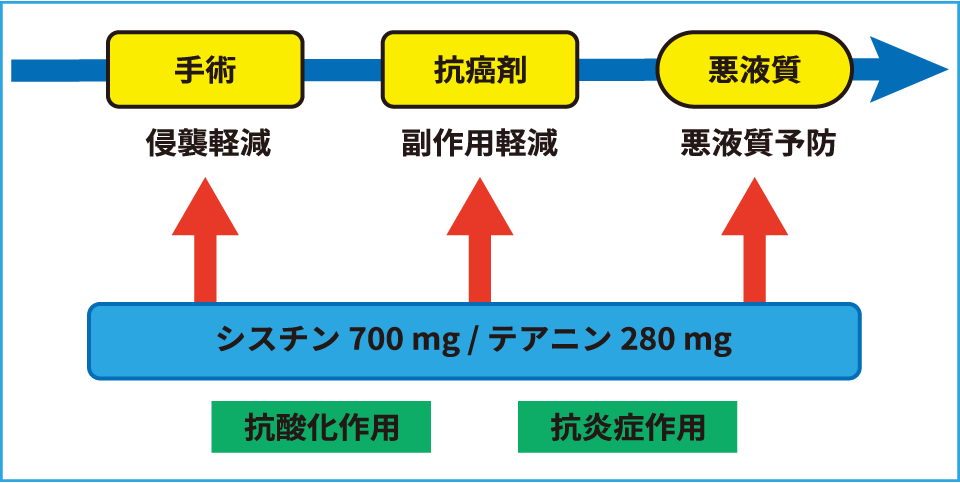 癌支持療法としてのシスチン／テアニンの効果