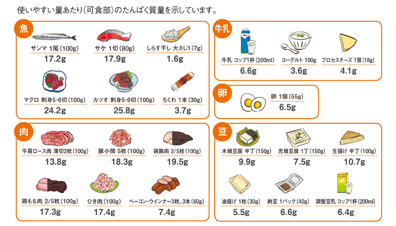 図1　食品に含まれるたんぱく質の量